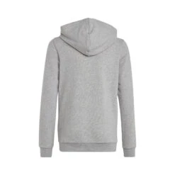 ADIDAS Big Logo 2 Hoody Jungen - Hellgrau -Tennis-Peters 18329000 0 2